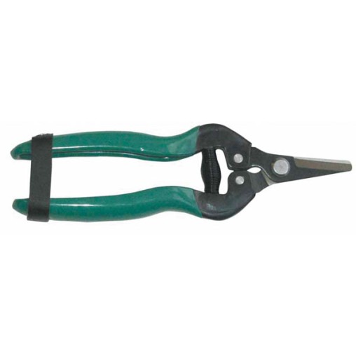 TIJERA RECOLECCION HOJA RECTA - 17 CM