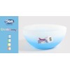 ENSALADERA PVC - 24 CM