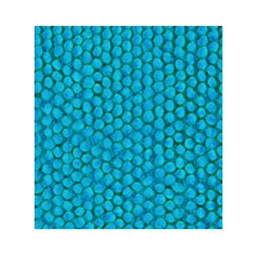 ALFOMBRA BAÑO POLIESTER 100% TURQUESA - 40X60 CM
