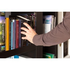ARCA CAUDALES SECRETA BOOK - 154X222X44