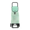 CARRO COMPRA 2+2 CIRCULOS MINT - 55 L
