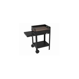 BARBACOA CARBON/LEÑA MENORCA - 103X56X99