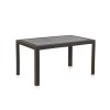 MESA PP WENGUE DREAM - 140X85X73C