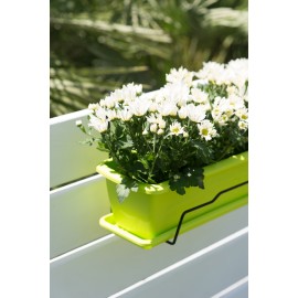 BALCONERA+SOPORTE PISTACHO - 50 CM