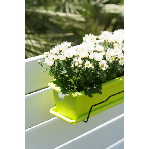 BALCONERA+SOPORTE PISTACHO - 50 CM
