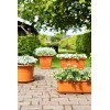 MACETA EXT. MEDITERRAN ANTRACITA - 30 CM