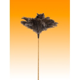 PLUMERO AVESTRUZ LARGO PLUMA 20-21 M/VARILLA