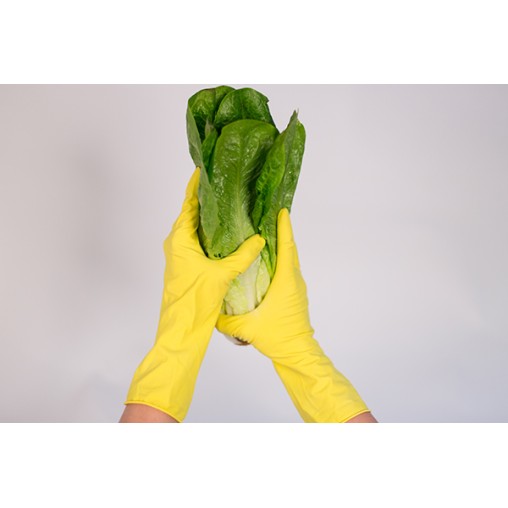 (12 u.) GUANTE LATEX FLOCADO AMARILLO