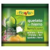 ABONO QUELATO HIERRO FERROTENE - 50 GR